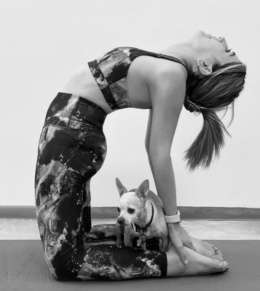 imagen_2025-03-24_231255800